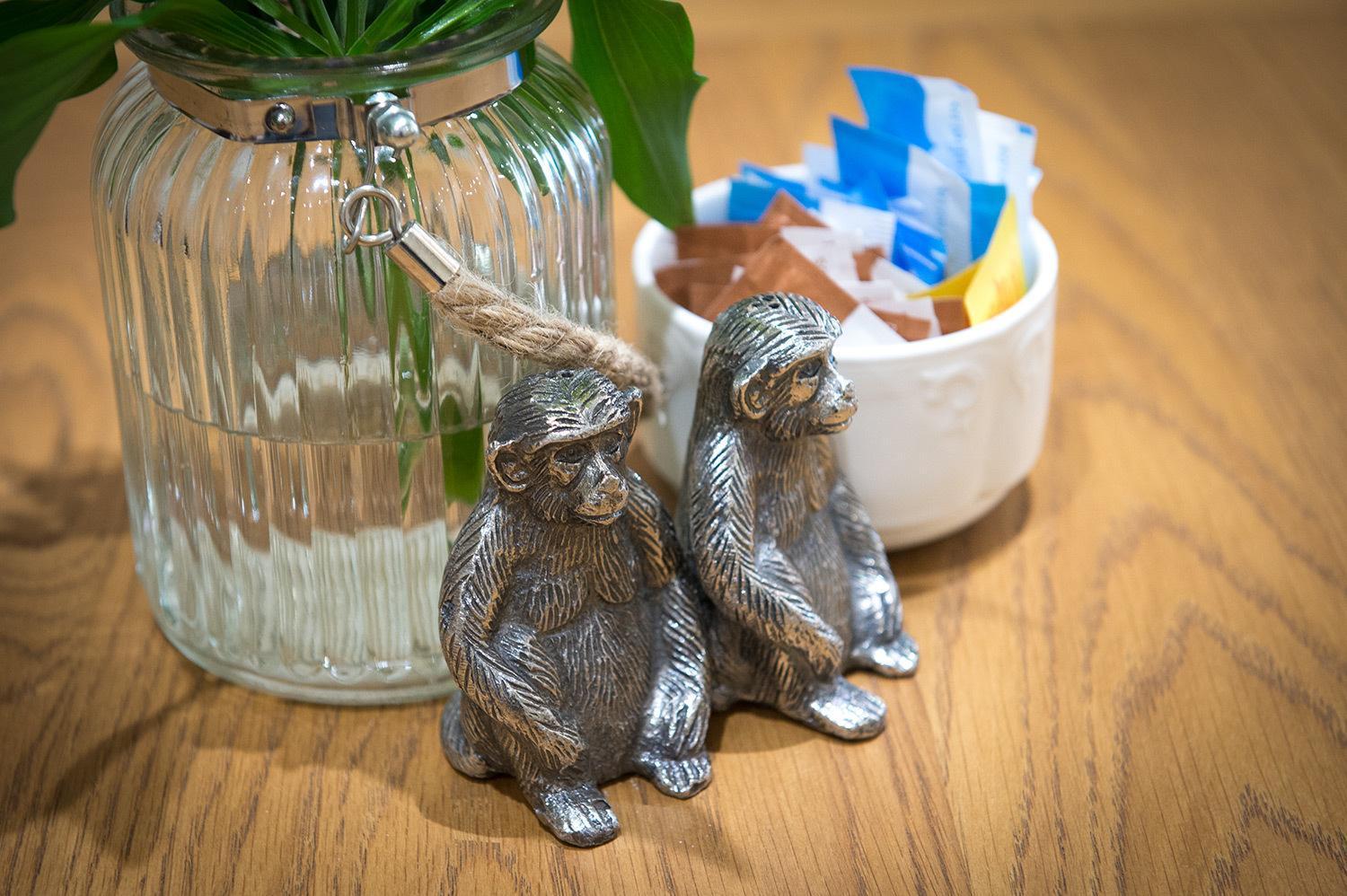 Darwin'S Townhouse Bed & Breakfast Shrewsbury Eksteriør bilde Silver monkey salt and pepper shakers