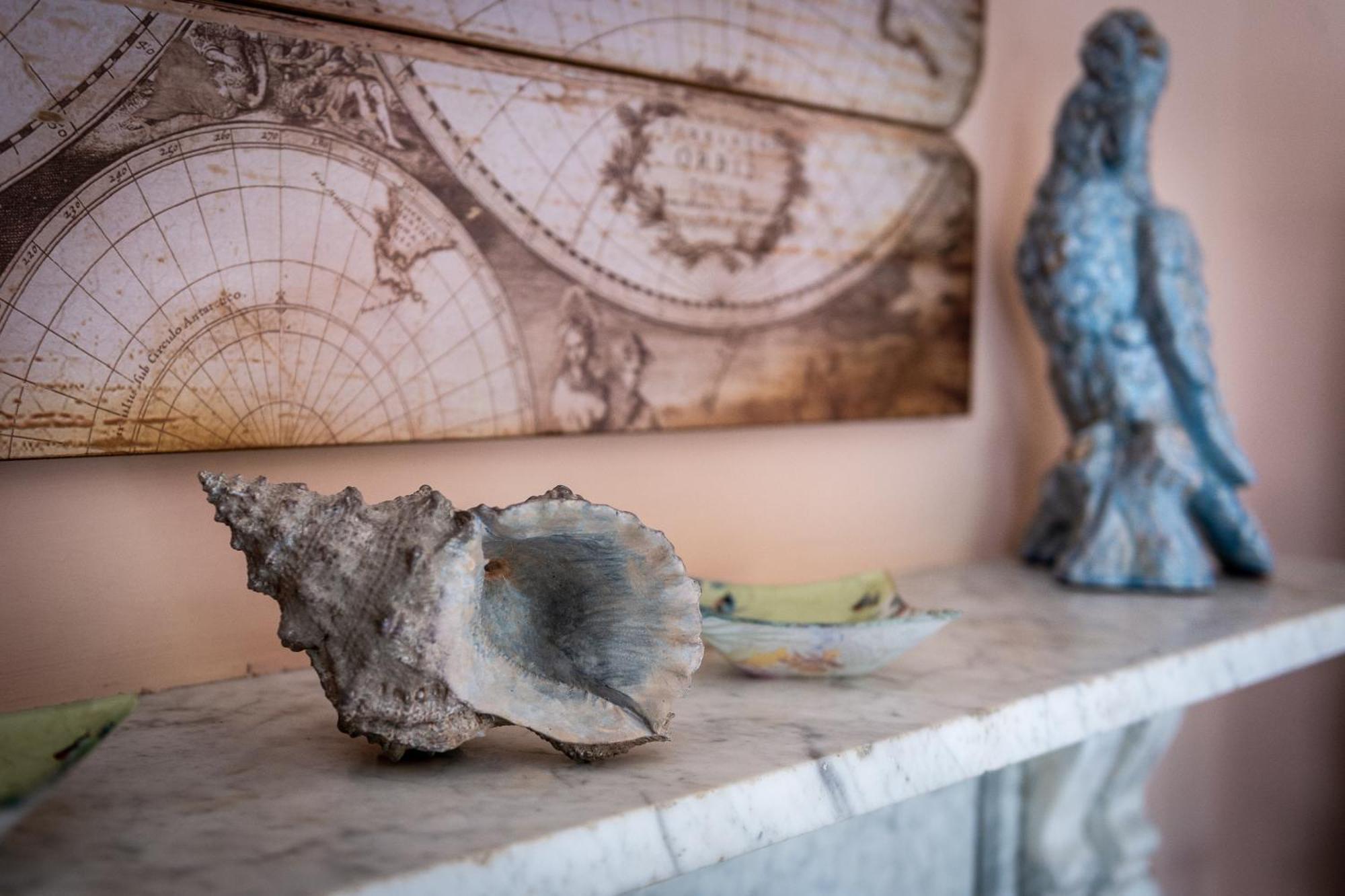 Darwin'S Townhouse Bed & Breakfast Shrewsbury Rom bilde A conch shell